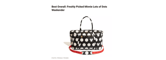 Travel + Leisure | Best Disney-themed Luggage