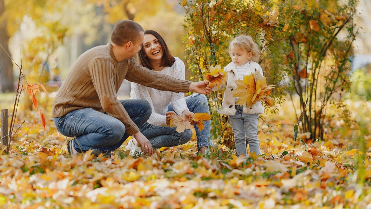 Post Thanksgiving Family Activities - What To Do After The Feast