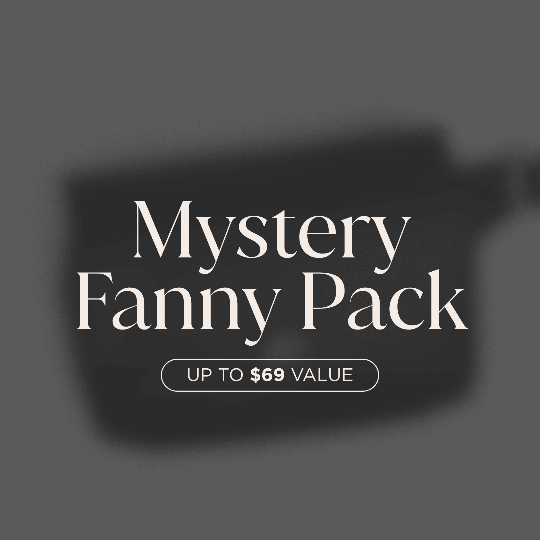 Mystery Fanny Pack — Online Warehouse Sale Mystery Fanny Pack Online Warehouse Sale