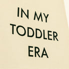 Toddler Era Wall Hanging Wall Hanging Nursery Decor