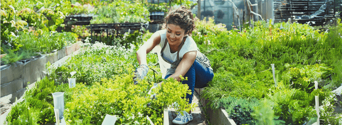 10 Essential Plants Every Mom's Garden Should Have