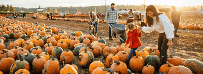 Family-Friendly Fall Activities