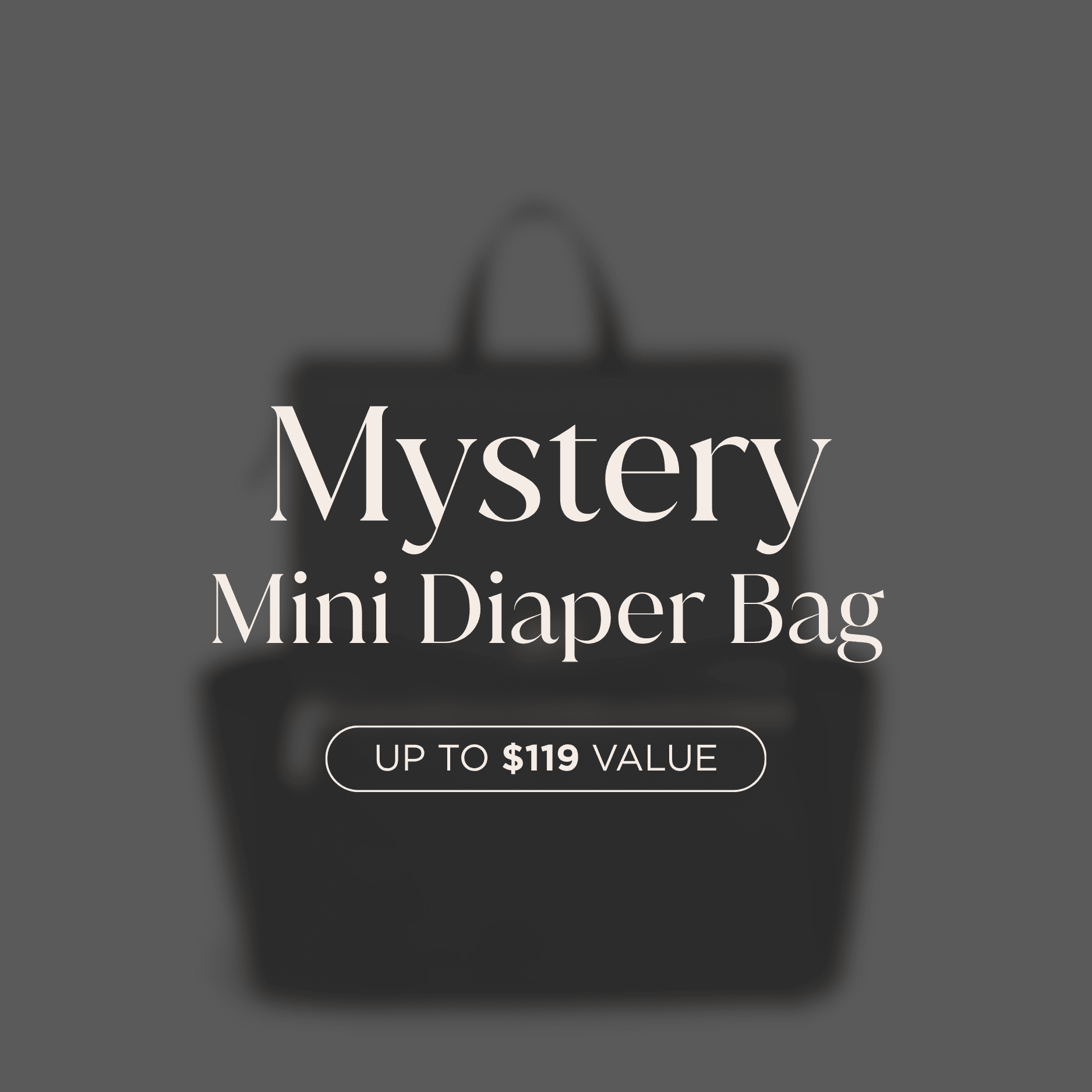 Mystery Mini Diaper Bag — Online Warehouse Sale Mystery Mini Diaper Bag Online Warehouse Sale 