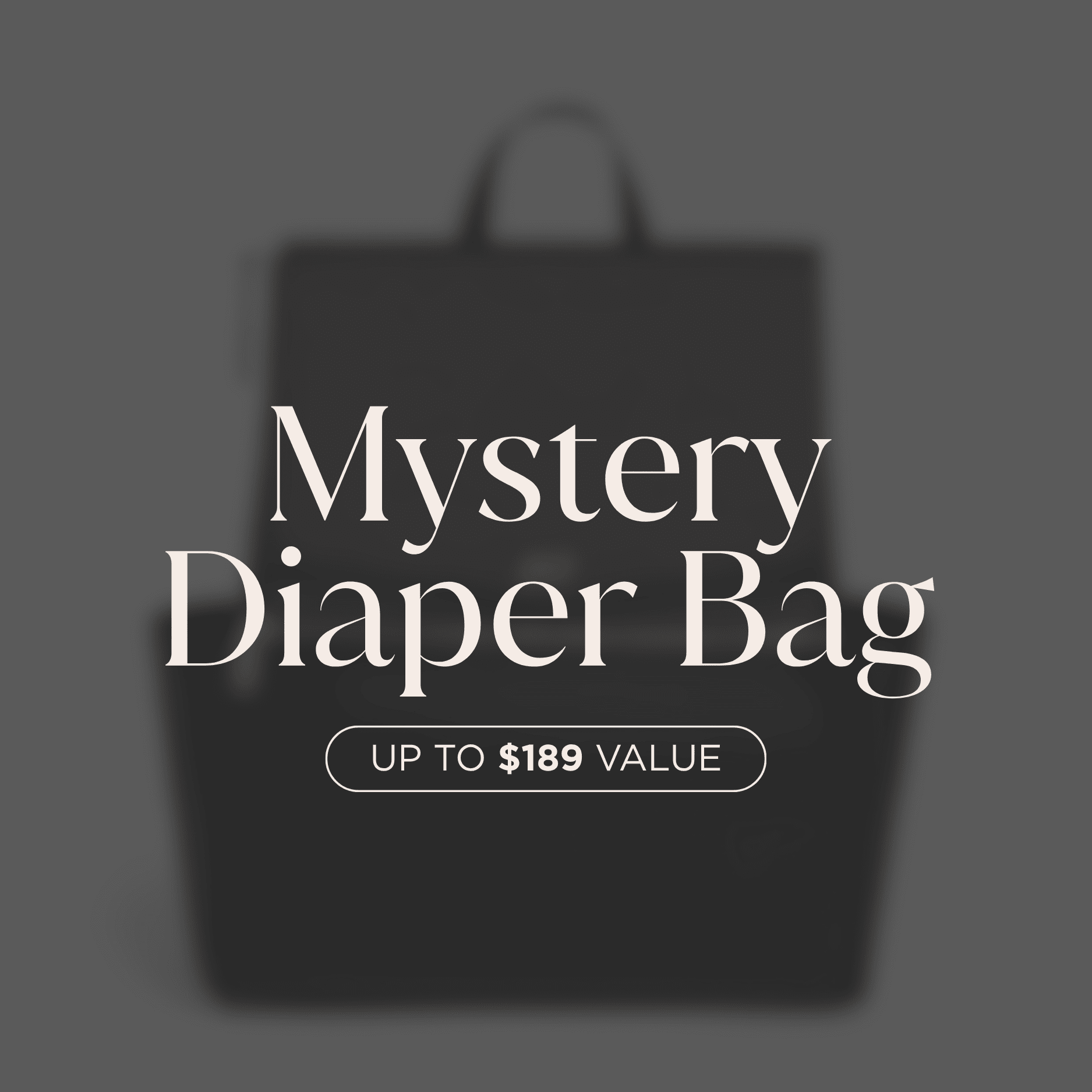 Mystery Diaper Bag — Online Warehouse Sale Mystery Full Size Diaper Bag Online Warehouse Sale 