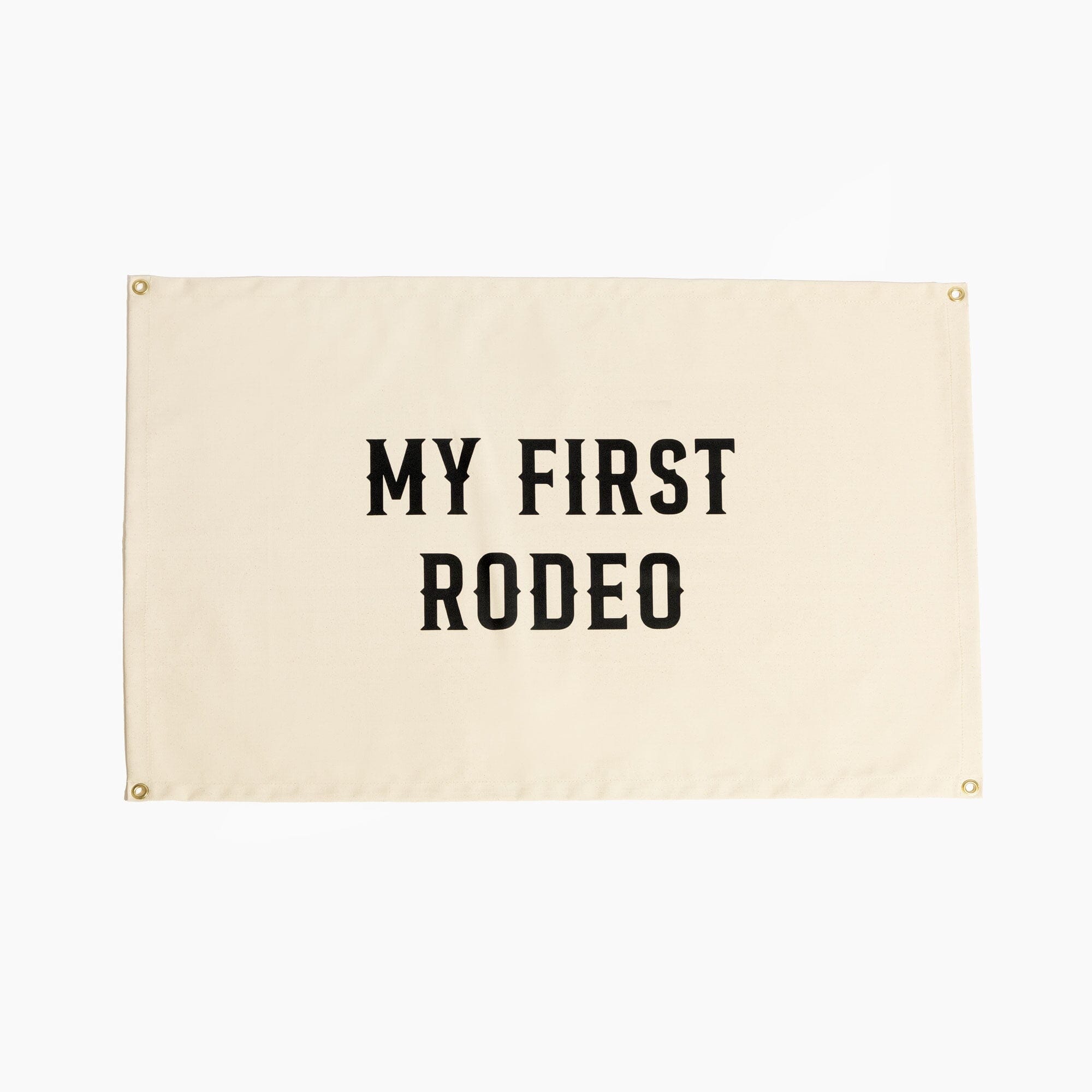 My First Rodeo Wall Hanging Wall Hanging Nursery Decor 